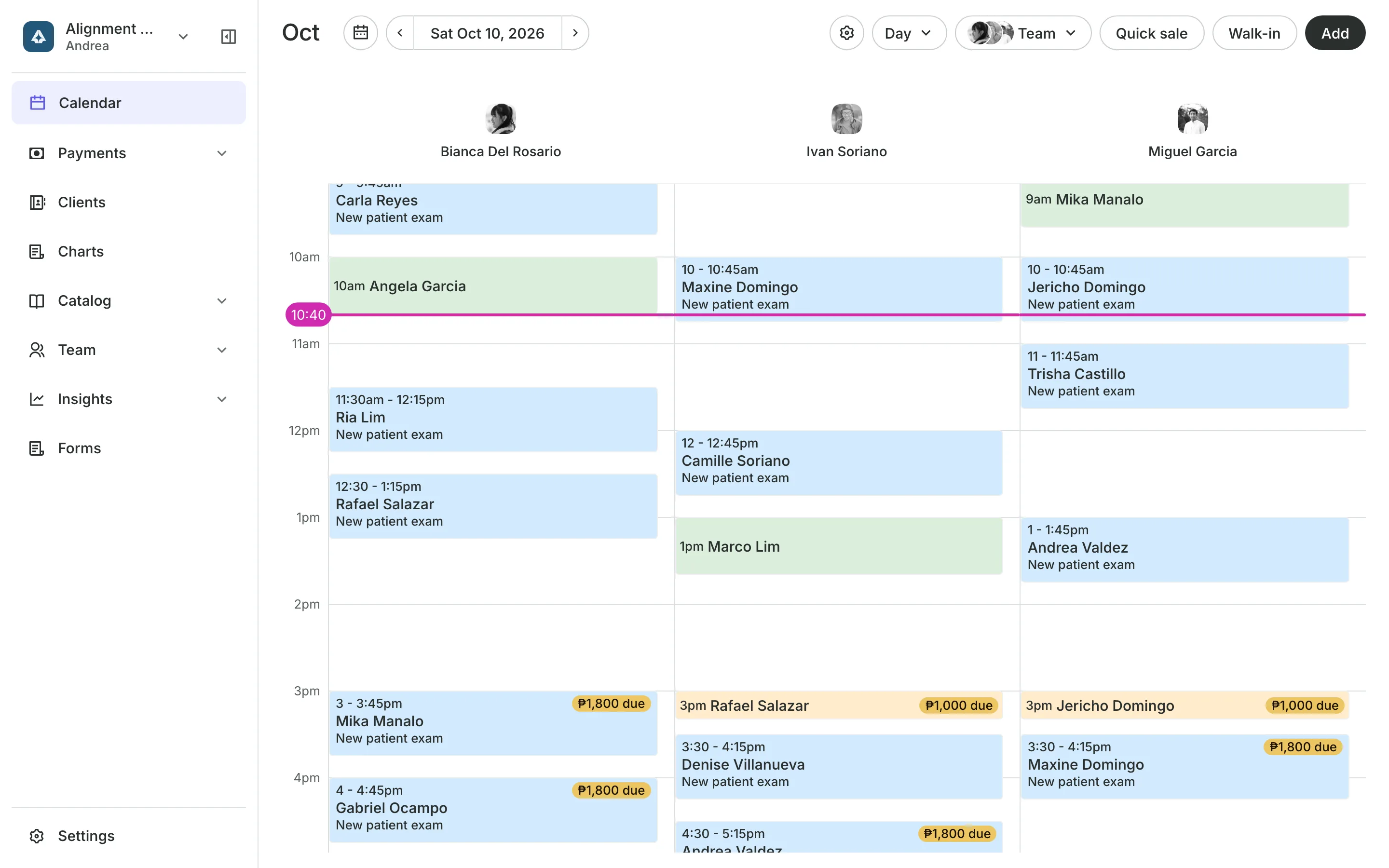 The calendar in day view: the team's columns and the day's bookings