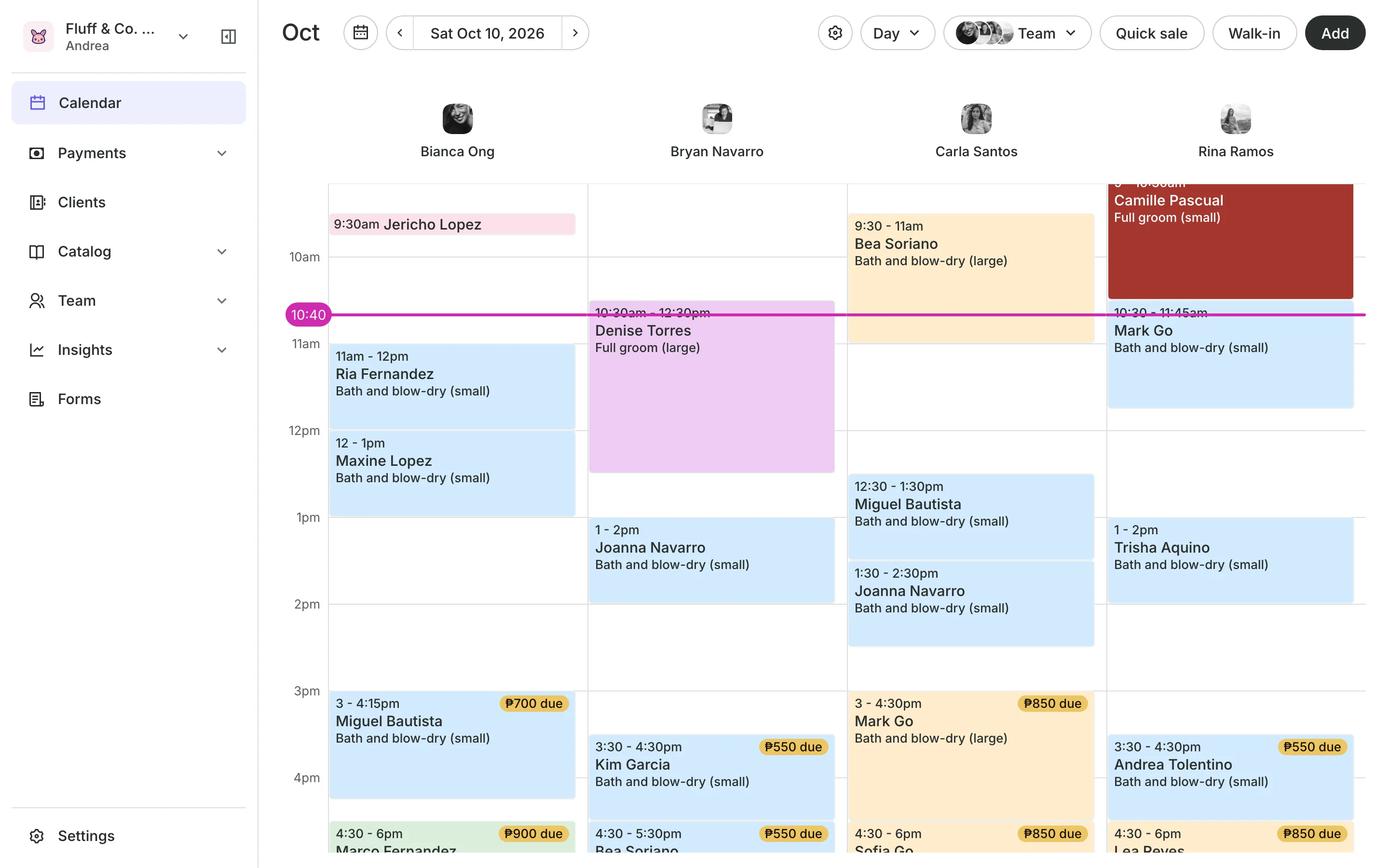 The calendar in day view: the team's columns and the day's bookings