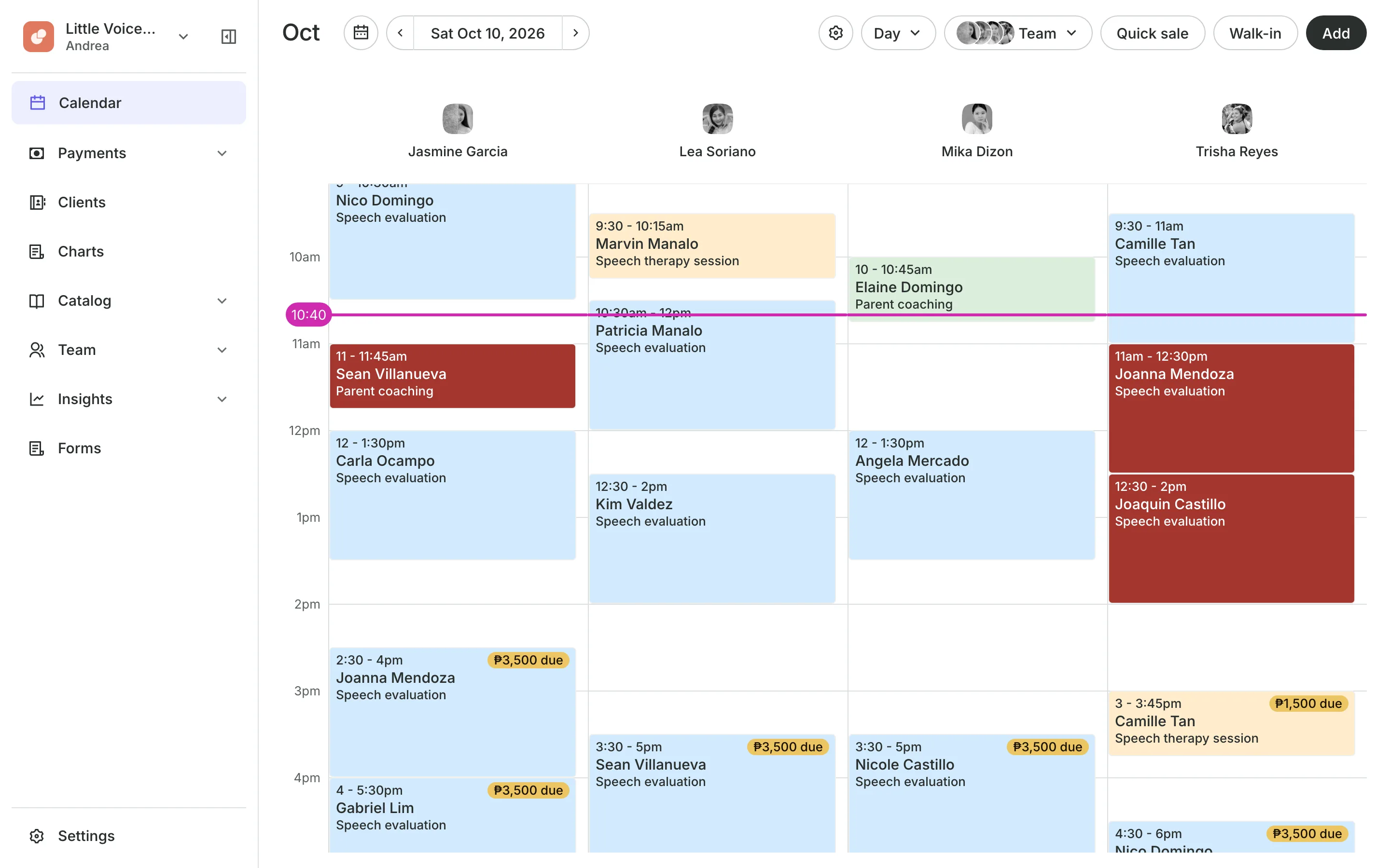 The calendar in day view: the team's columns and the day's bookings